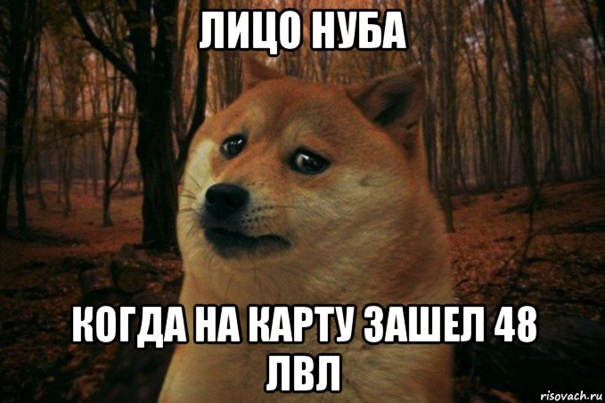 лицо нуба когда на карту зашел 48 лвл, Мем SAD DOGE