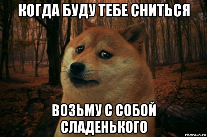 когда буду тебе сниться возьму с собой сладенького, Мем SAD DOGE