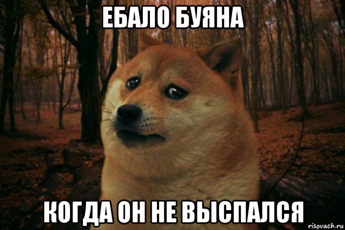 ебало буяна когда он не выспался, Мем SAD DOGE