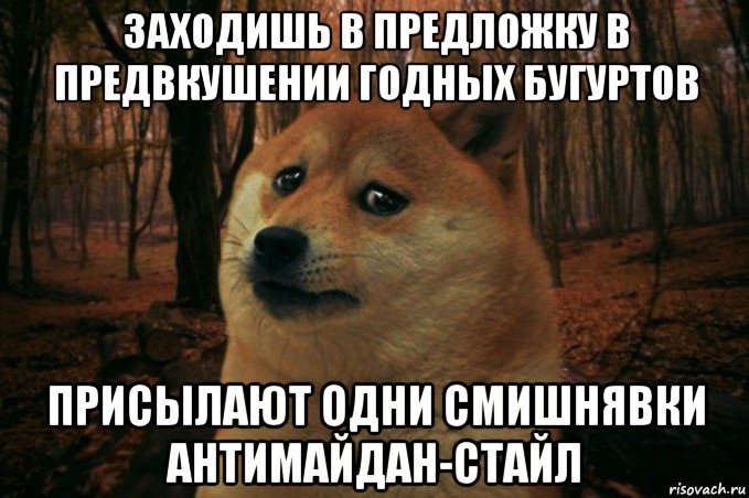 заходишь в предложку в предвкушении годных бугуртов присылают одни смишнявки антимайдан-стайл, Мем SAD DOGE