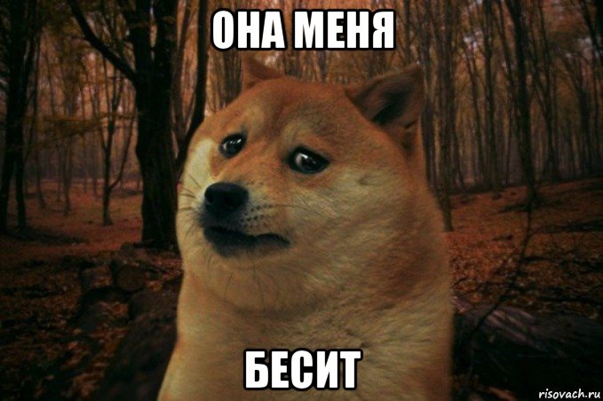 она меня бесит, Мем SAD DOGE