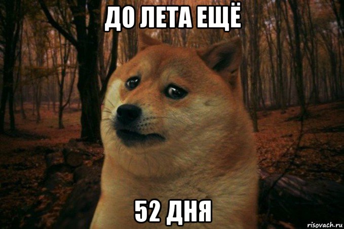 до лета ещё 52 дня, Мем SAD DOGE