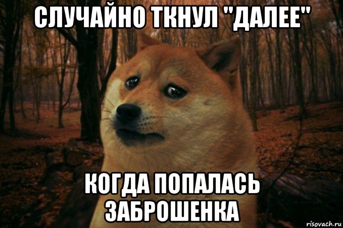 случайно ткнул "далее" когда попалась заброшенка, Мем SAD DOGE