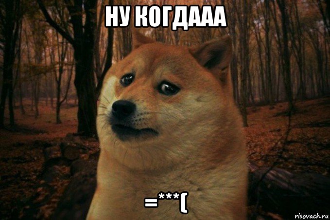 ну когдааа =***(, Мем SAD DOGE