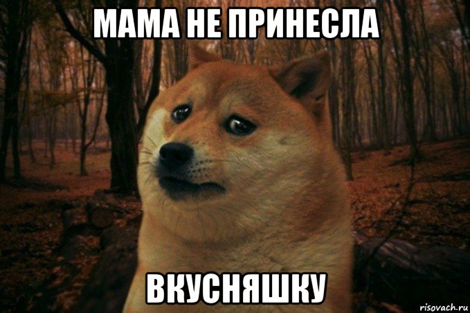 мама не принесла вкусняшку, Мем SAD DOGE