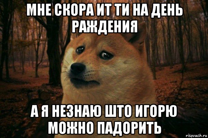 мне скора ит ти на день раждения а я незнаю што игорю можно падорить, Мем SAD DOGE