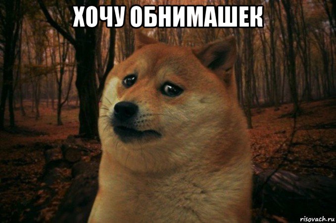 хочу обнимашек , Мем SAD DOGE