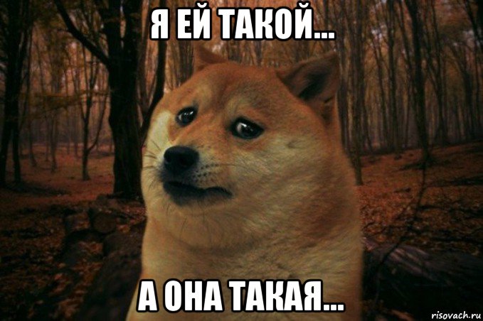 я ей такой... а она такая..., Мем SAD DOGE