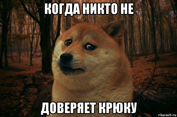 когда никто не доверяет крюку, Мем SAD DOGE