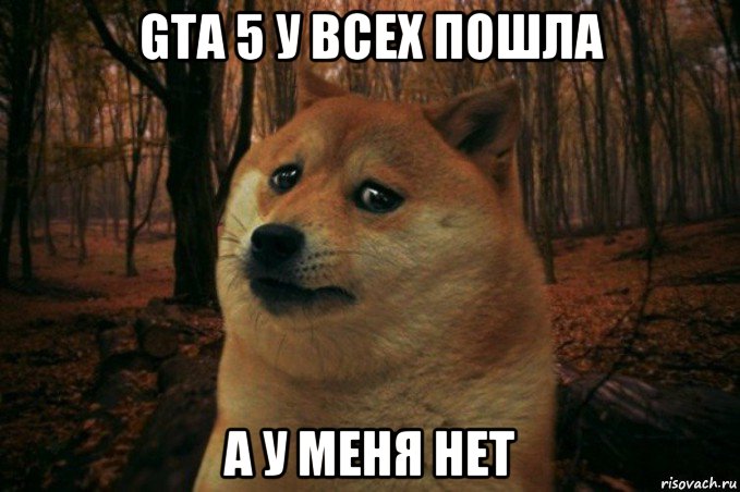 gta 5 у всех пошла а у меня нет, Мем SAD DOGE