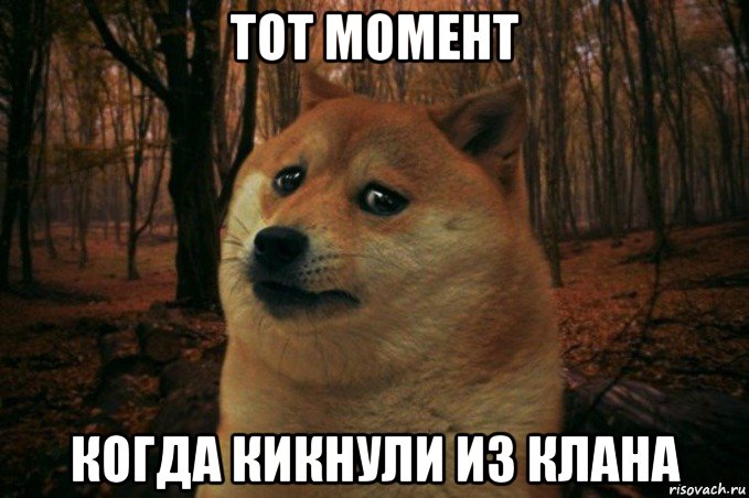 тот момент когда кикнули из клана, Мем SAD DOGE