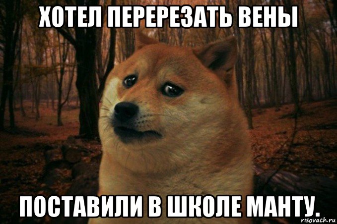 хотел перерезать вены поставили в школе манту., Мем SAD DOGE