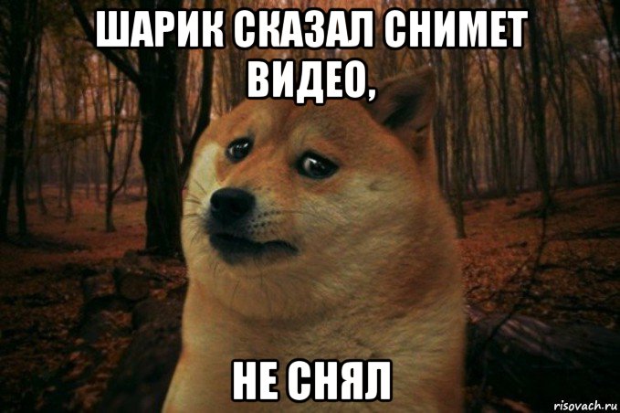 шарик сказал снимет видео, не снял, Мем SAD DOGE