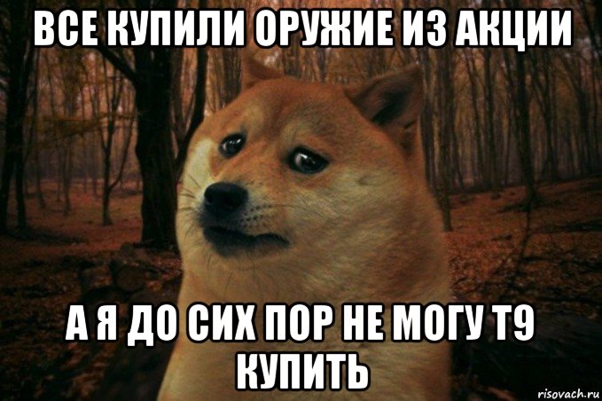 все купили оружие из акции а я до сих пор не могу т9 купить, Мем SAD DOGE