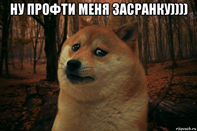 ну профти меня засранку)))) , Мем SAD DOGE