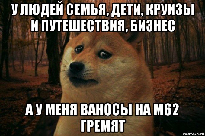 у людей семья, дети, круизы и путешествия, бизнес а у меня ваносы на м62 гремят, Мем SAD DOGE