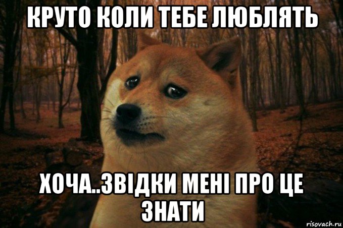 круто коли тебе люблять хоча..звідки мені про це знати, Мем SAD DOGE