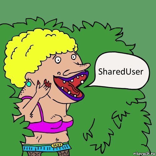 SharedUser