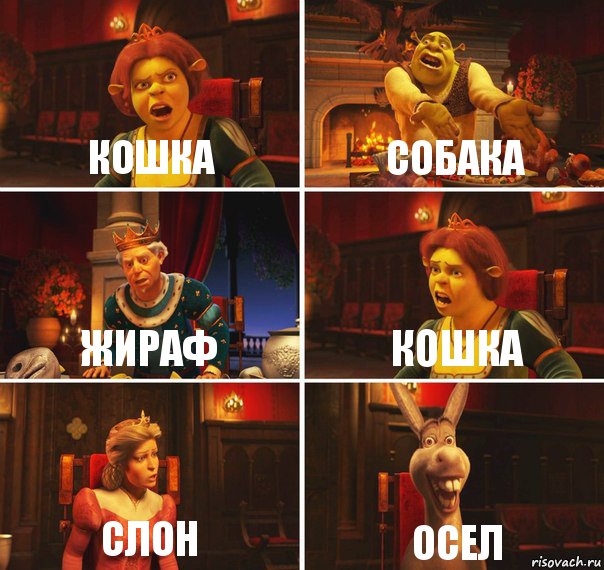 кошка собака жираф кошка слон осел