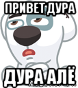 привет дура дура алё