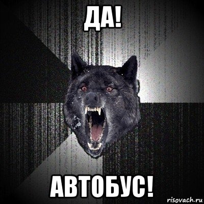 да! автобус!, Мем Сумасшедший волк