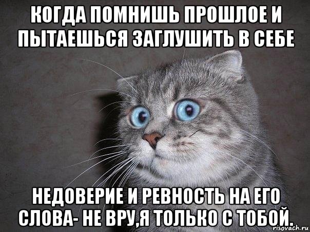 когда помнишь прошлое и пытаешься заглушить в себе недоверие и ревность на его слова- не вру,я только с тобой., Мем  удивлённый кот