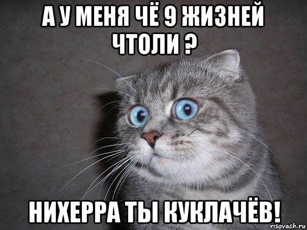 а у меня чё 9 жизней чтоли ? нихерра ты куклачёв!