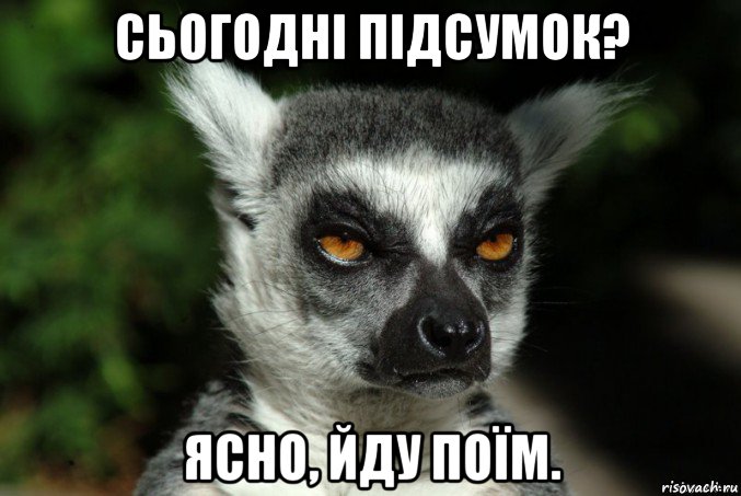 сьогодні підсумок? ясно, йду поїм., Мем   Я збагоен