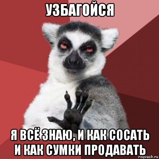 узбагойся я всё знаю, и как сосать и как сумки продавать, Мем Узбагойзя