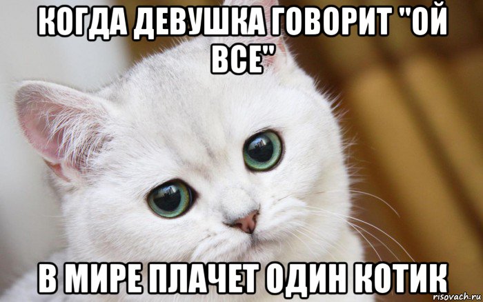 когда девушка говорит "ой все" в мире плачет один котик, Мем  В мире грустит один котик