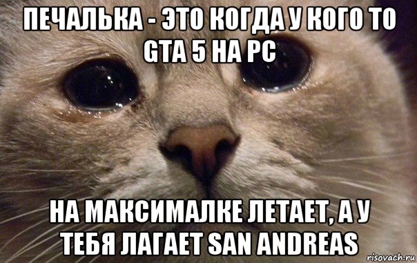 печалька - это когда у кого то gta 5 на pc на максималке летает, а у тебя лагает san andreas, Мем   В мире грустит один котик