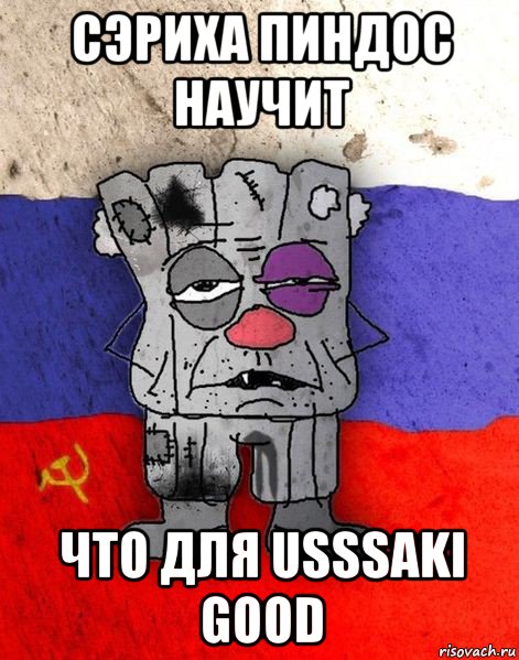 сэриха пиндос научит что для usssaki good, Мем Ватник