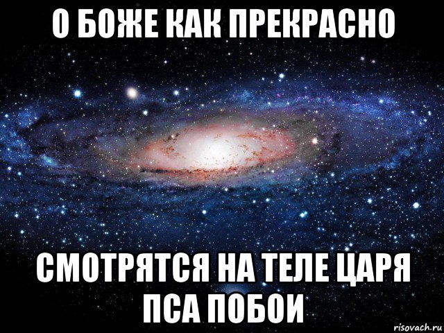 о боже как прекрасно смотрятся на теле царя пса побои, Мем Вселенная