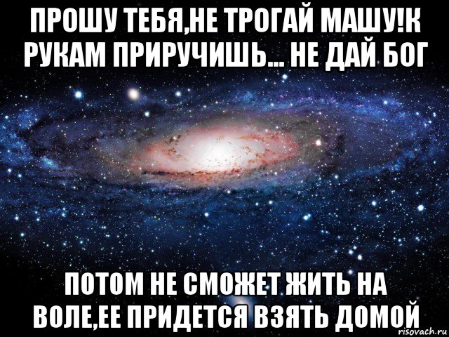 прошу тебя,не трогай машу!к рукам приручишь... не дай бог потом не сможет жить на воле,ее придется взять домой, Мем Вселенная