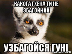 какога гхена ти не збагойний узбагойся гуні, Мем Я збагоен