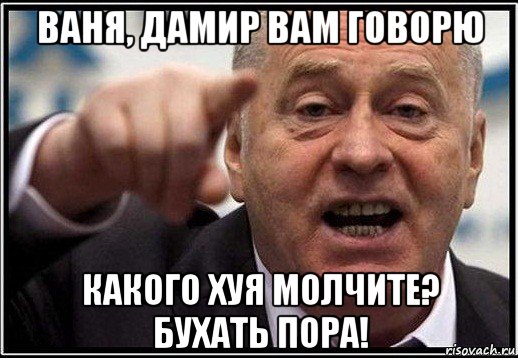 ваня, дамир вам говорю какого хуя молчите? бухать пора!, Мем жириновский ты