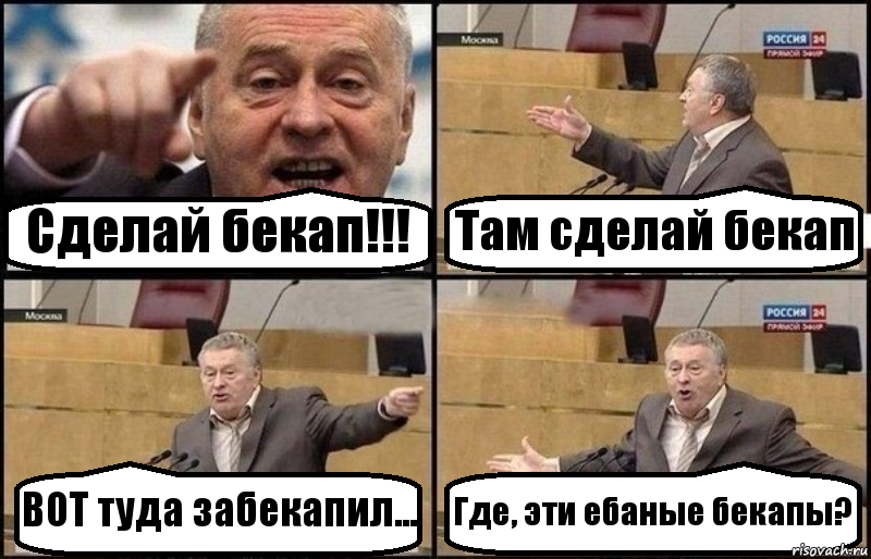 Сделай бекап!!! Там сделай бекап ВОТ туда забекапил... Где, эти ебаные бекапы?, Комикс Жириновский