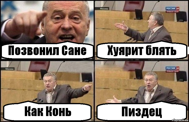 Позвонил Сане Хуярит блять Как Конь Пиздец, Комикс Жириновский