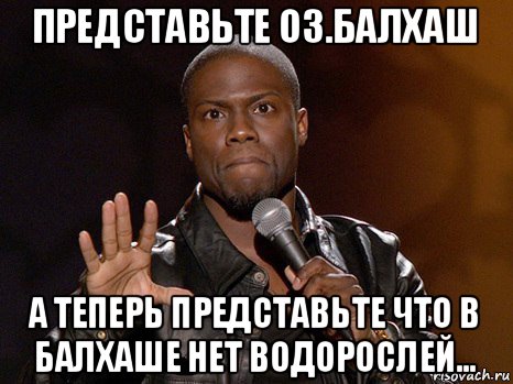 представьте оз.балхаш а теперь представьте что в балхаше нет водорослей..., Мем  А теперь представь