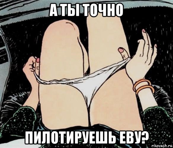 а ты точно пилотируешь еву?, Мем А ты точно