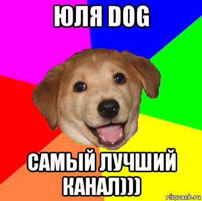 юля dog самый лучший канал))), Мем Advice Dog