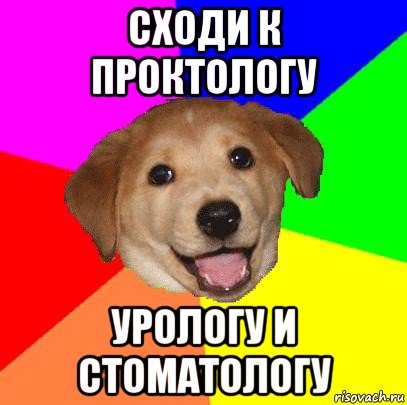 сходи к проктологу урологу и стоматологу, Мем Advice Dog