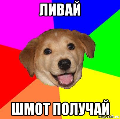 ливай шмот получай, Мем Advice Dog