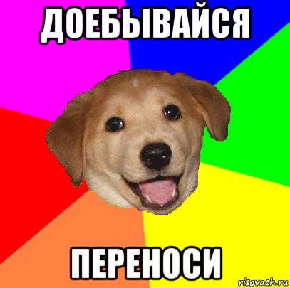 доебывайся переноси, Мем Advice Dog