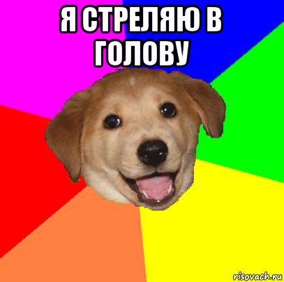 я стреляю в голову , Мем Advice Dog