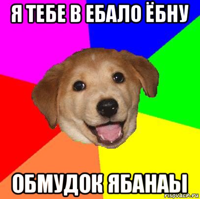 я тебе в ебало ёбну обмудок ябанаы, Мем Advice Dog