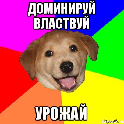 доминируй властвуй урожай, Мем Advice Dog