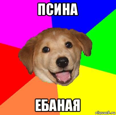 псина ебаная, Мем Advice Dog