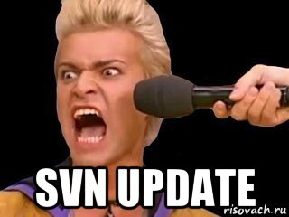  svn update, Мем Адвокат