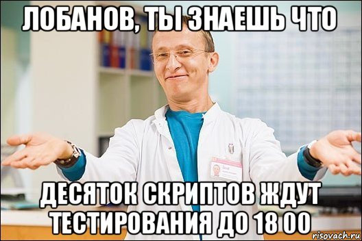 лобанов, ты знаешь что десяток скриптов ждут тестирования до 18 00, Мем  быков